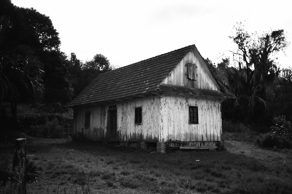 Fotos Araucária