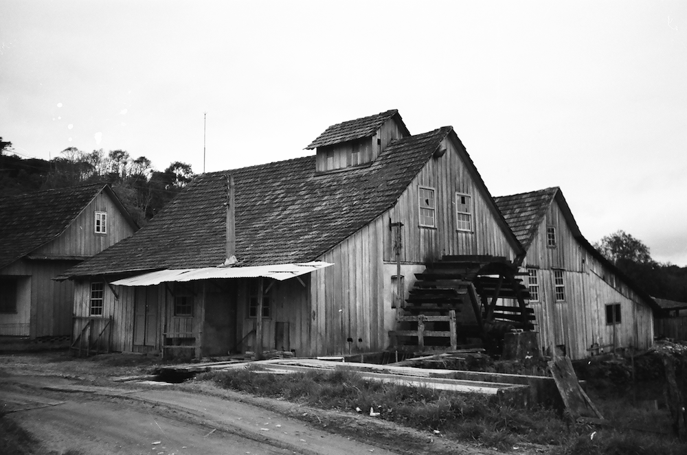 Fotos Araucária