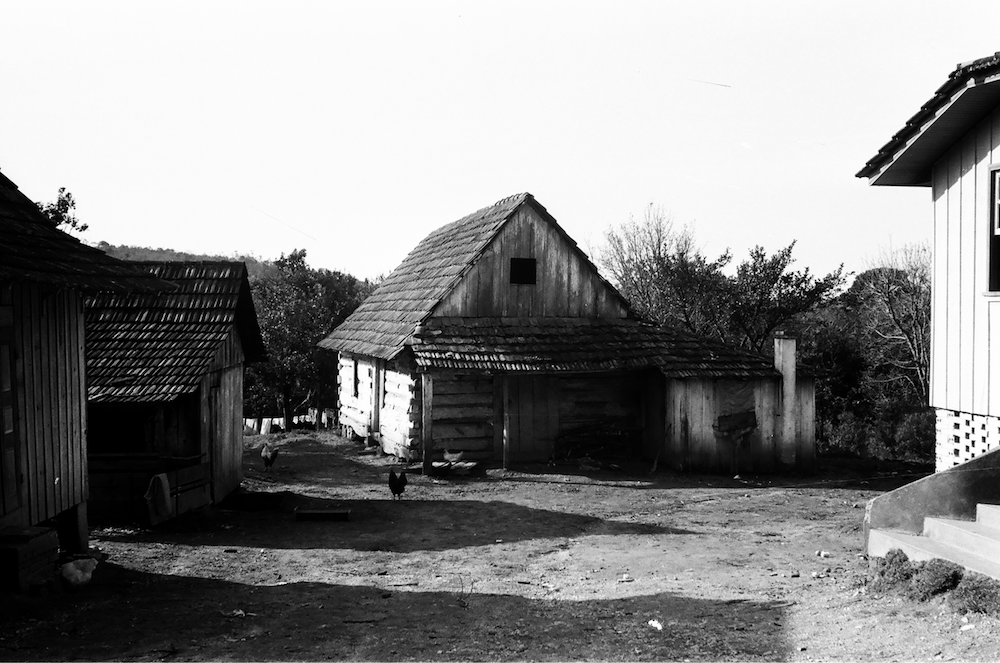 Fotos Araucária