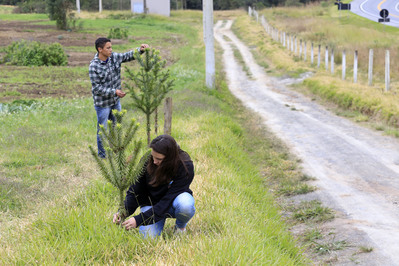 Serão plantadas, inicialmente, cerca de 2 mil mudas em Fazenda Rio Grande.