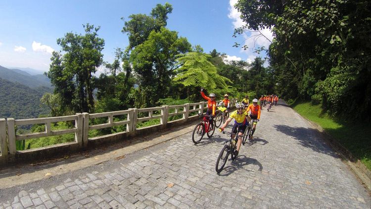 Foto de ciclitas andando de bicicleta na estrada