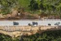 Pavimentação entre Mandirituba e São José dos Pinhais ultrapassa 40% de execução