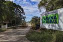 Ligação entre Mandirituba e São José dos Pinhais supera 65% de execução