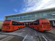 23 metros e quase 200 lugares: Paraná ganha primeiros ônibus superarticulados