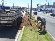 Obra na Av. das Américas em São José dos Pinhais