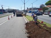 Obra na Av. das Américas em São José dos Pinhais