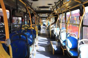 onibus