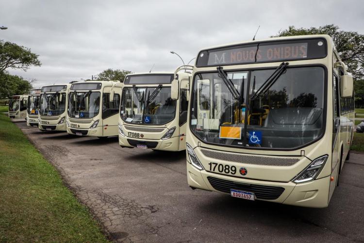Fotos dos novos ônibus