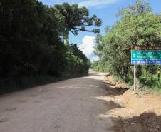 começa pavimentação entre São José dos Pinhais e Mandirituba