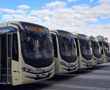  Frota da RMC ganha 46 novos ônibus com ar-condicionado e câmera de segurança 