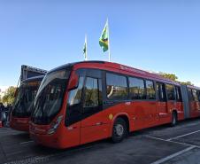 23 metros e quase 200 lugares: Paraná ganha primeiros ônibus superarticulados