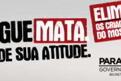 campanha da dengue