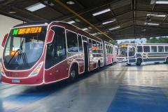Ônibus com iluminação de Natal começam a circular na Região Metropolitana de Curitiba