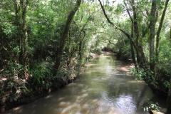 A Sanepar repassou R$ 6 milhões a municípios paranaenses para obras e programas de preservação ambiental em 2011. Os recursos foram repassados por meio do Fundo Municipal de Meio Ambiente
