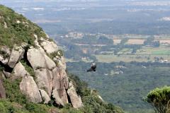 Quatro Barras recebeu, no dia 16 de maio, a confirmação de que será uma das duas cidades que integram o roteiro turístico oficial da Copa do Mundo de 2014 no Paraná. 