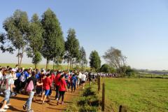 O calendário de 2013 do projeto Caminhadas na Natureza Paraná está ganhando mais 22 circuitos, além dos 58 percursos realizados neste ano
