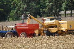 O Produto Interno Bruto (PIB) paranaense cresceu 2,8% no primeiro trimestre de 2013 e a agricultura é uma das grandes responsáveis pelo crescimento