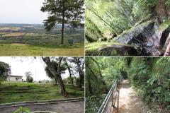 O governador autorizou a licitação da revitalização do Parque do Monge, na Lapa. Serão investidos nesta obra mais de R$ 1,5 milhão.