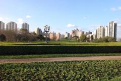 O Fórum sobre o Estatuto da Metrópole e Plano de Desenvolvimento Urbano Integrado (PDUI), realizado pelo Ministério das Cidades, debateu sobre os desafios decorrentes da implantação do Estatuto da Metrópole.