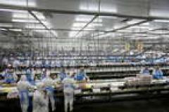 O Paraná foi o Estado da Região Sul que gerou o maior número de empregos no setor agropecuário, com saldo positivo de 3.067 novos postos de trabalho criados de janeiro a dezembro de 2015 no setor. 