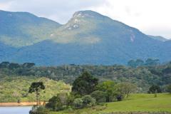Piraquara já tem autonomia para lidar com questões ambientais de impacto local, tornando os processos mais rápidos e reforçando o monitoramento ambiental. 