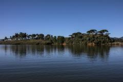 As mudas de árvores nativas estão sendo produzidas no entorno da Barragem Piraquara II. 