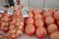 O Paraná é o sexto produtor nacional de cebola, com uma produção de 117 mil toneladas.
