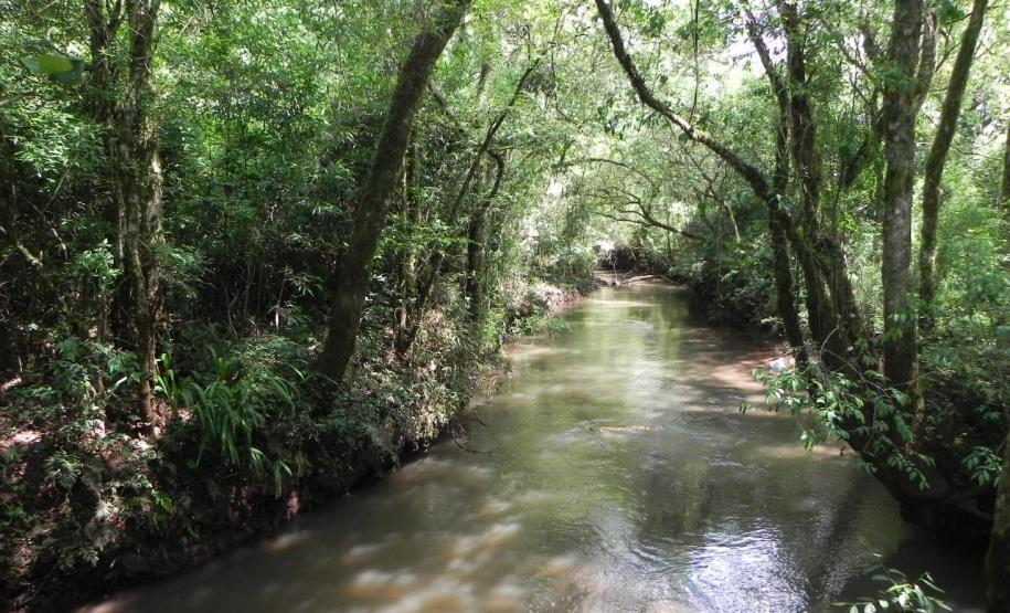 A Sanepar repassou R$ 6 milhões a municípios paranaenses para obras e programas de preservação ambiental em 2011. Os recursos foram repassados por meio do Fundo Municipal de Meio Ambiente