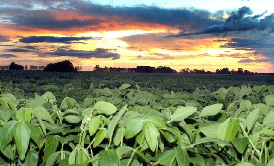 Simepar terá estações meteorológicas em todos os municípios do PR O Instituto Tecnológico Simepar, ligado à Secretaria da Ciência, Tecnologia e Ensino Superior, vai ampliar a Rede Paranaense de Monitoramento Hidrometeorológico (RePMH), com a instalação de estações automáticas em todos os municípios do Paraná.