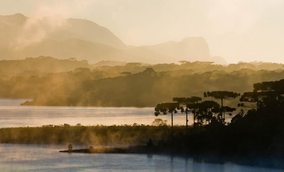 Deve começar em fevereiro de 2013 o levantamento de dados para o Inventário das Florestas do Paraná, que o governo do Estado fará em parceria com o Serviço Florestal Brasileiro – órgão federal ligado ao Ministério do Meio Ambiente.