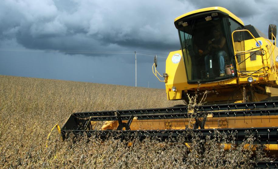 Com o início da colheita no Paraná, a produção estimada da safra de grãos de verão 2012/13 até o momento é de 22,7 milhões de toneladas, que representa um crescimento de 26% sobre o mesmo período do ano passado.