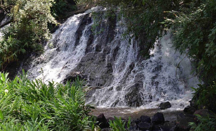 Mandirituba poderá entrar na rota turística do Estado Beleza natural de Mandirituba.