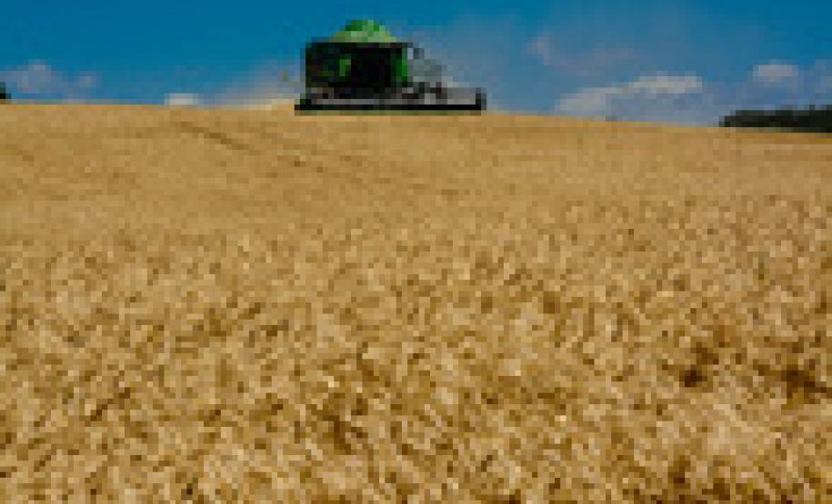 O desempenho paranaense, fortemente influenciado pela agropecuária, foi bem superior à média da economia brasileira.