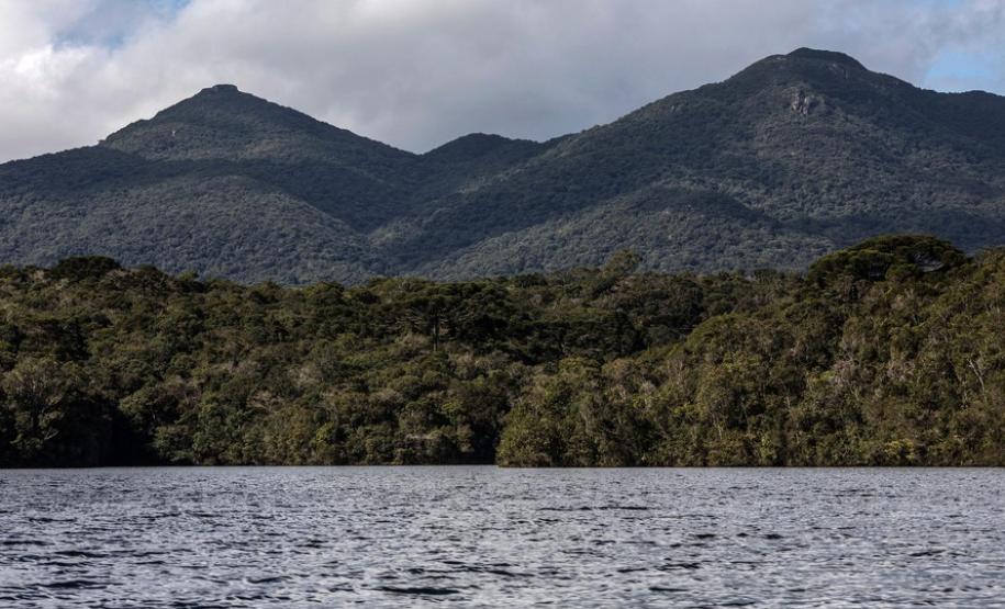Florestas na Serra do Mar protegem fontes de água de Curitiba e RMC A qualidade da água está associada a uma legislação que busca proteger a Mata Atlântica e inibe atividades potencialmente poluidoras.