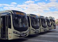  Frota da RMC ganha 46 novos ônibus com ar-condicionado e câmera de segurança 